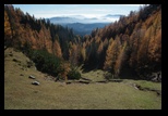 Triglav -Pokljuka -26-10-2013 - Bogdan Balaban